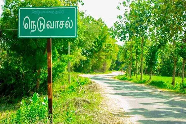 ​neduvasal